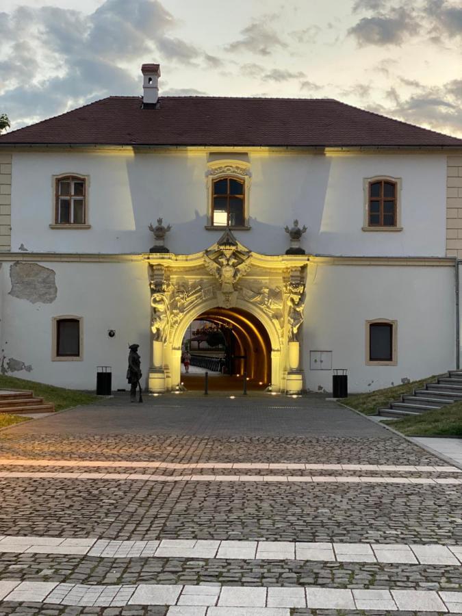 Studio Panoramic With Balcony And Parcul Unirii View Alba Iulia Exterior foto