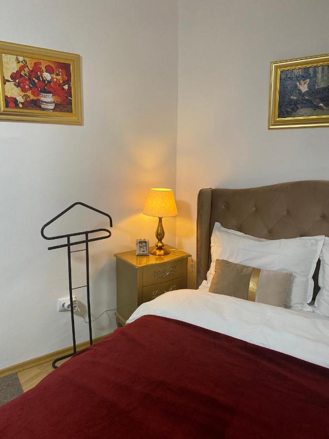 Studio Panoramic With Balcony And Parcul Unirii View Alba Iulia Exterior foto